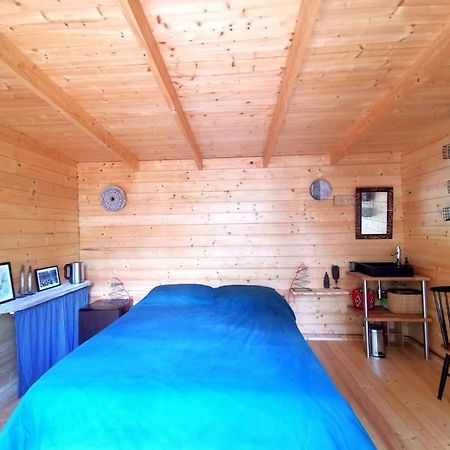 Cabanon Dans Un Ecrin De Verdure Callian  Dış mekan fotoğraf