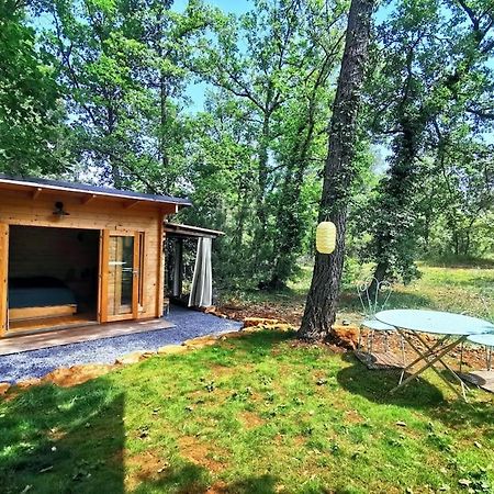 Cabanon Dans Un Ecrin De Verdure Callian  Dış mekan fotoğraf